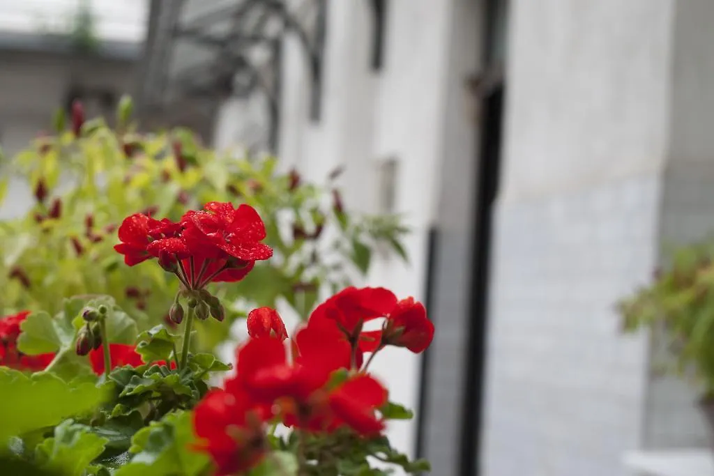 Ariel Studio Close To St. Stephen Basilica 부다페스트 아파트